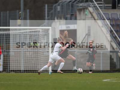 Bild-ID: 2459469