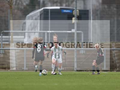 Bild-ID: 2459480