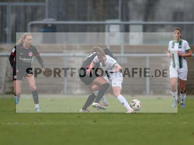 Bild-ID: 2459485