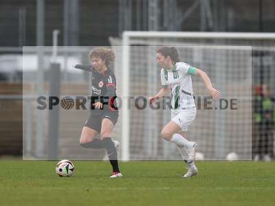 Bild-ID: 2459489