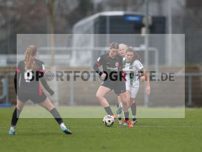 Bild-ID: 2459516