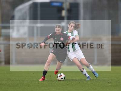 Bild-ID: 2459518