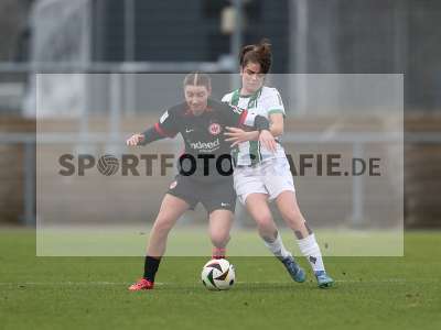 Bild-ID: 2459520