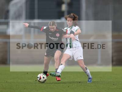 Bild-ID: 2459521