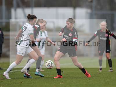 Bild-ID: 2459522