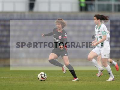 Bild-ID: 2459523