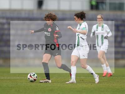 Bild-ID: 2459524