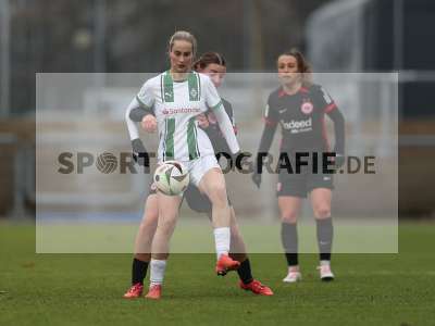 Bild-ID: 2459531