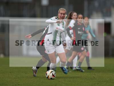 Bild-ID: 2459532