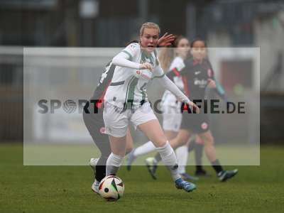 Bild-ID: 2459533