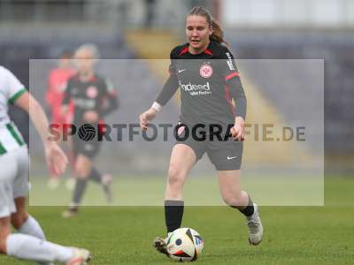 Bild-ID: 2459538
