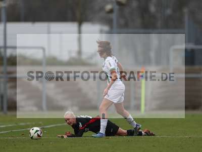 Bild-ID: 2459544