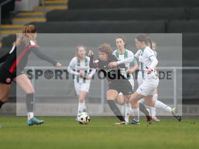 Bild-ID: 2459545