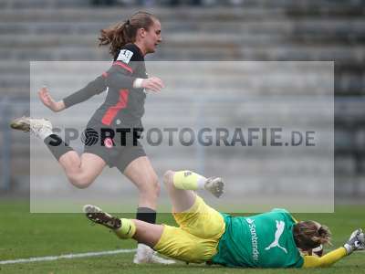 Bild-ID: 2459547