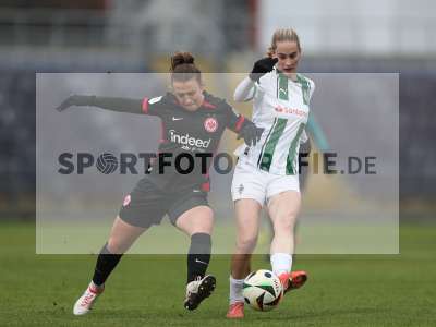 Bild-ID: 2459561