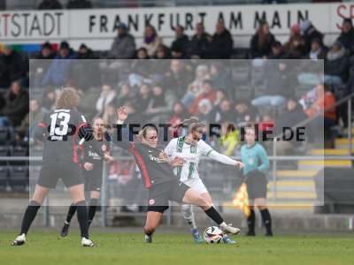 Bild-ID: 2459568
