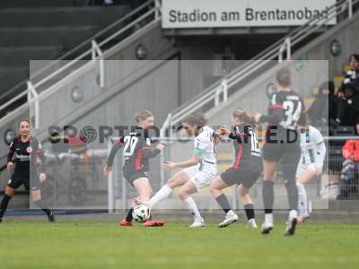 Bild-ID: 2459583