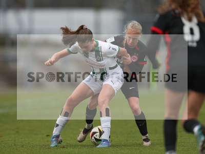 Bild-ID: 2459591
