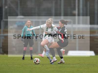 Bild-ID: 2459619