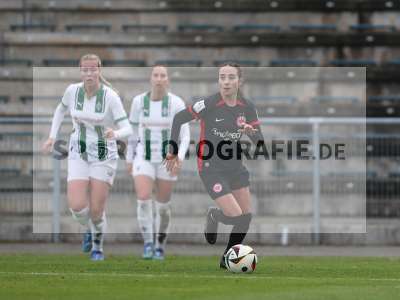 Bild-ID: 2459624