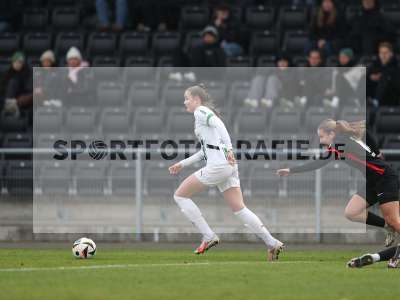 Bild-ID: 2459642