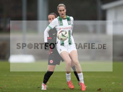 Bild-ID: 2459647