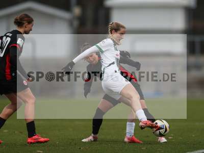 Bild-ID: 2459649