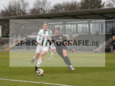 Bild-ID: 2459655