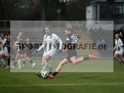 Bild-ID: 2459664