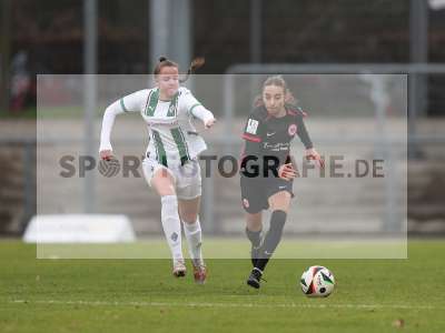 Bild-ID: 2459683