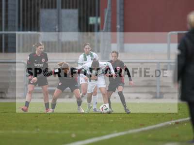 Bild-ID: 2459729