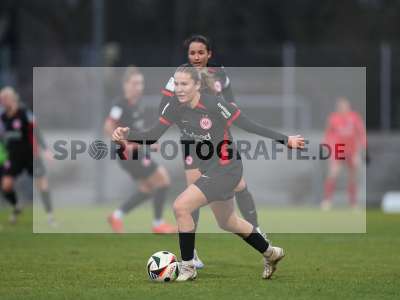 Bild-ID: 2459738