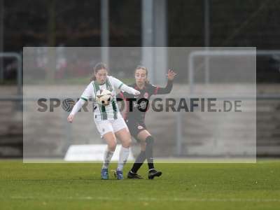 Bild-ID: 2459762