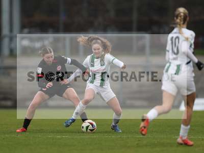 Bild-ID: 2459833