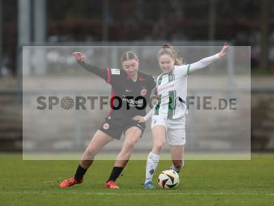Bild-ID: 2459834