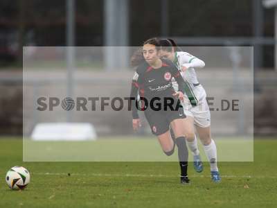 Bild-ID: 2459844