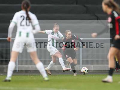 Bild-ID: 2459846