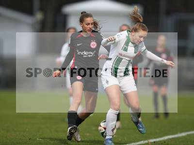 Bild-ID: 2459857