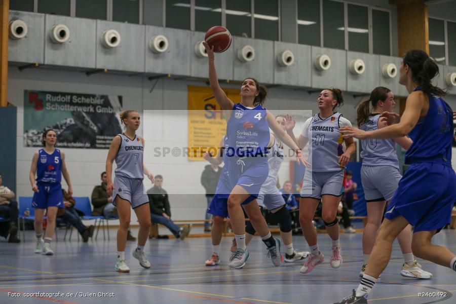 sport, action, TVM, TV Marktheidenfeld, Regionalliga Damen HR-Nord, RLS, Marktheidenfeld, Hans-Wilhelm-Renkhoff Halle, ChemCats Chemnitz 2, CCC, Basketball, 11.01.2025 - Bild-ID: 2460492