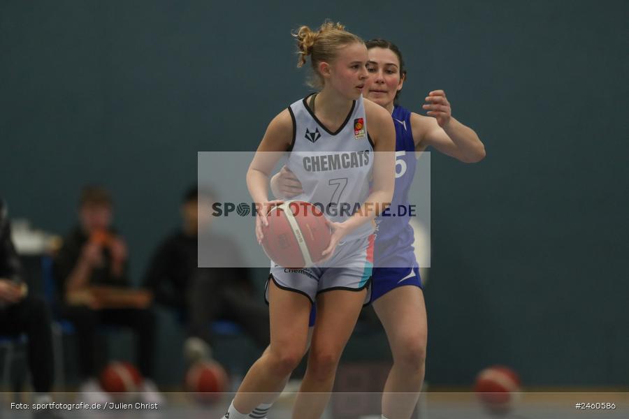 sport, action, TVM, TV Marktheidenfeld, Regionalliga Damen HR-Nord, RLS, Marktheidenfeld, Hans-Wilhelm-Renkhoff Halle, ChemCats Chemnitz 2, CCC, Basketball, 11.01.2025 - Bild-ID: 2460586