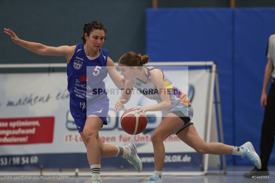 sport, action, TVM, TV Marktheidenfeld, Regionalliga Damen HR-Nord, RLS, Marktheidenfeld, Hans-Wilhelm-Renkhoff Halle, ChemCats Chemnitz 2, CCC, Basketball, 11.01.2025 - Bild-ID: 2460593