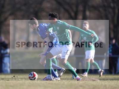 Bild-ID: 2463293