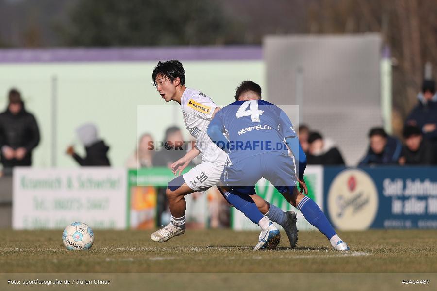 RP1, Babenhausen-Langstadt, 08.02.2025, sport, action, HFV, BFV, Fussball, Regional-FS, Regionalliga Südwest, Regionalliga Bayern, SVA, FSV, SV Viktoria Aschaffenburg, FSV Frankfurt - Bild-ID: 2464487