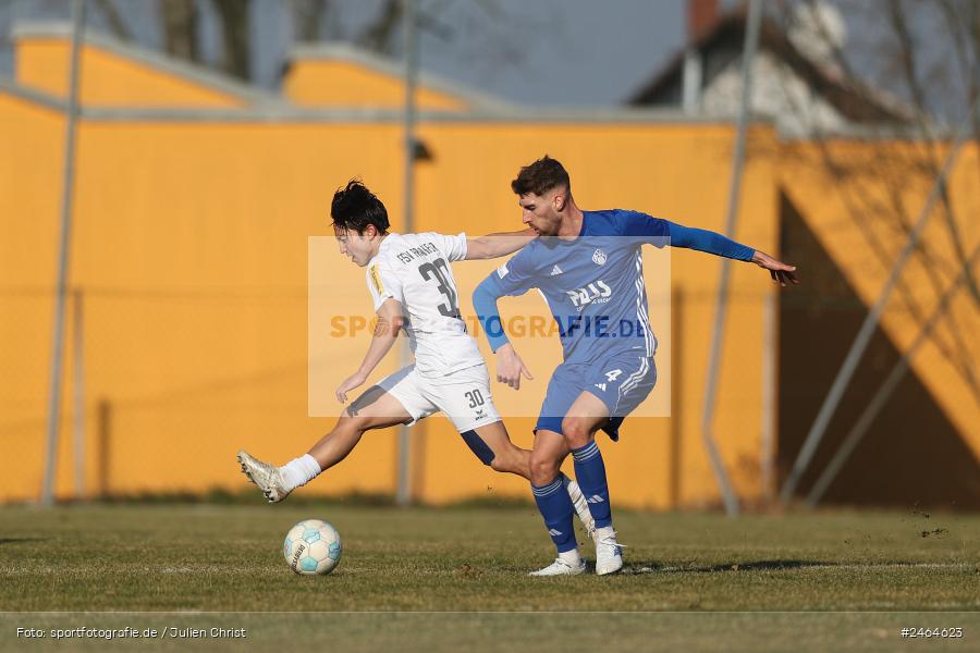 sport, action, SVA, SV Viktoria Aschaffenburg, Regionalliga Südwest, Regionalliga Bayern, Regional-FS, RP1, HFV, Fussball, FSV Frankfurt, FSV, Babenhausen-Langstadt, BFV, 08.02.2025 - Bild-ID: 2464623 sport, action, SVA, SV Viktoria Aschaffenburg, Regionalliga Südwest, Regionalliga Bayern, Regional-FS, RP1, HFV, Fussball, FSV Frankfurt, FSV, Babenhausen-Langstadt, BFV, 08.02.2025 - Bild-ID: 2464623