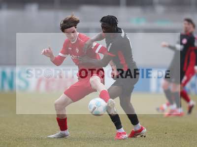 Bild-ID: 2464091