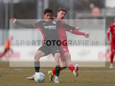 Bild-ID: 2464124
