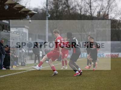 Bild-ID: 2464136
