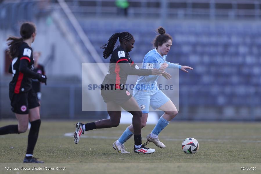 sport, action, VfL Bochum 1848, VFL, Stadion am Brentanobad, SGE, Fussball, Frankfurt, Eintracht Frankfurt II, DFB, 2. Frauen-Bundesliga, 16.02.2025 - Bild-ID: 2466134 sport, action, VfL Bochum 1848, VFL, Stadion am Brentanobad, SGE, Fussball, Frankfurt, Eintracht Frankfurt II, DFB, 2. Frauen-Bundesliga, 16.02.2025 - Bild-ID: 2466134