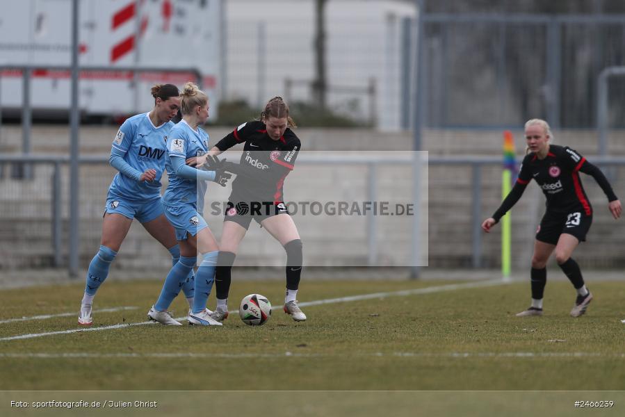 sport, action, VfL Bochum 1848, VFL, Stadion am Brentanobad, SGE, Fussball, Frankfurt, Eintracht Frankfurt II, DFB, 2. Frauen-Bundesliga, 16.02.2025 - Bild-ID: 2466239 sport, action, VfL Bochum 1848, VFL, Stadion am Brentanobad, SGE, Fussball, Frankfurt, Eintracht Frankfurt II, DFB, 2. Frauen-Bundesliga, 16.02.2025 - Bild-ID: 2466239