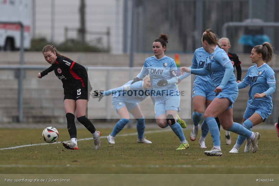 sport, action, VfL Bochum 1848, VFL, Stadion am Brentanobad, SGE, Fussball, Frankfurt, Eintracht Frankfurt II, DFB, 2. Frauen-Bundesliga, 16.02.2025 - Bild-ID: 2466244 sport, action, VfL Bochum 1848, VFL, Stadion am Brentanobad, SGE, Fussball, Frankfurt, Eintracht Frankfurt II, DFB, 2. Frauen-Bundesliga, 16.02.2025 - Bild-ID: 2466244